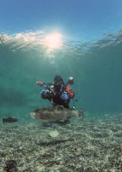 Dirk, trout & reflection.
Capernwray.
F90X,16mm. by Mark Thomas 